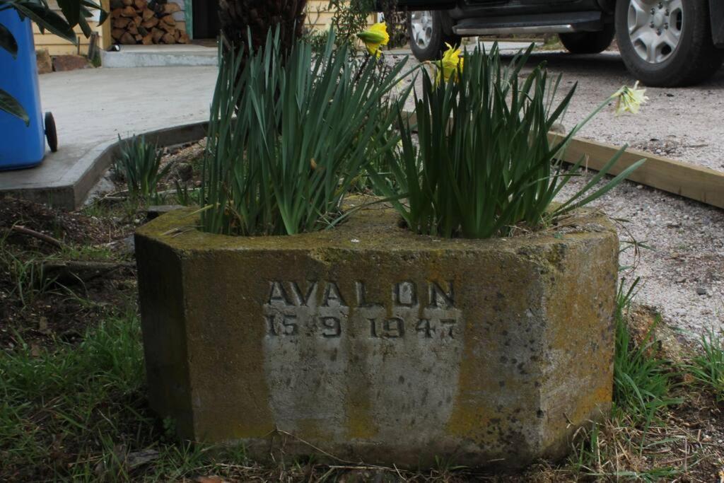 Avalon Blue @ - *blue Endorsed*